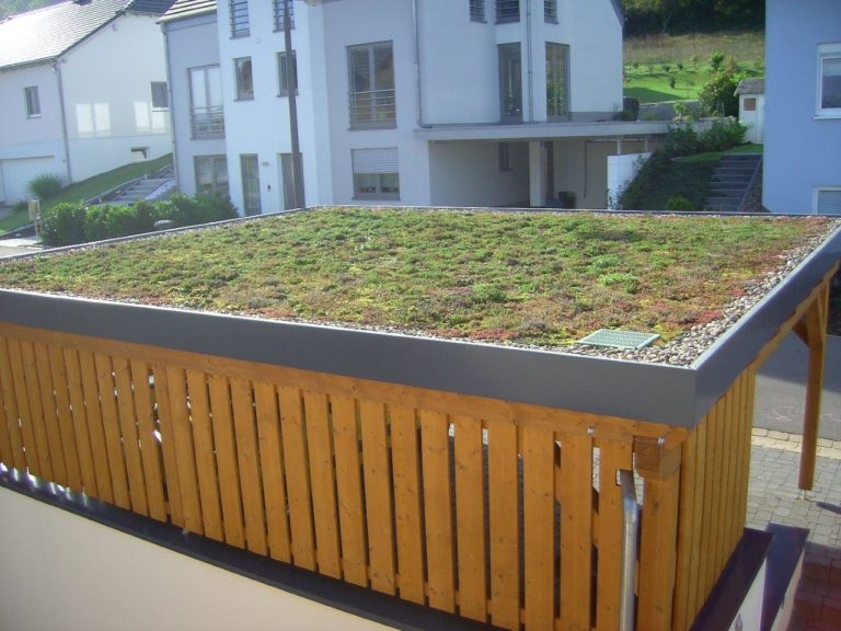EcoFlora Dachbegrünung Gründach