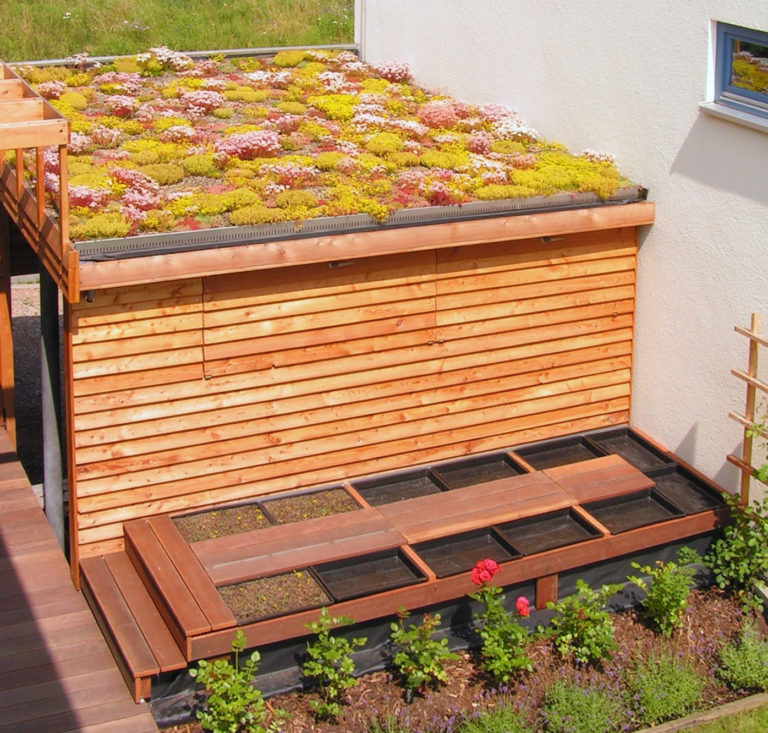 EcoFlora Dachbegrünung Referenz