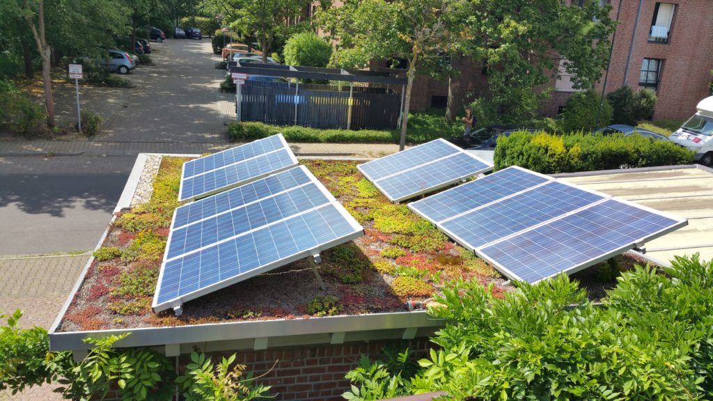 EcoFlora Dachbegrünung und Photovoltaik in Kombination