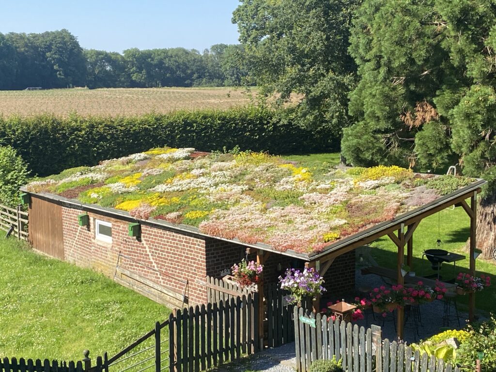 Viersen fördert Dachbegrünungen
